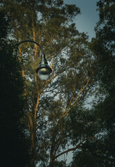 faro