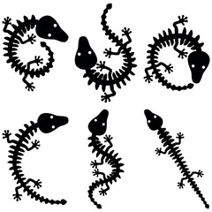 set of vector black silhouette of lizard skeleton reptile fantasy decor simplified isolated on white background, tattoo, design, stylization. Suitable design for postcard, business logo. halloween