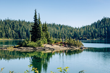Family hiking, Paradise Meadows Loop Trail, Strathcona Provincial Park, Vancouver Island, BC, Canada