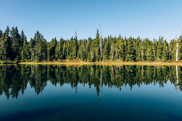 lake in the forest, Paradise Meadows Loop Trail, Strathcona Provincial Park, Vancouver Island, BC, Canada