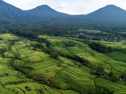 aerial drone view of rice terraces in Jatiluwih village, Tabana, Bali, Indonesia, with the Batu Karu mountains in the background