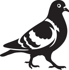 Pigeon silhouette simple black design, City bird clean line vector illustration