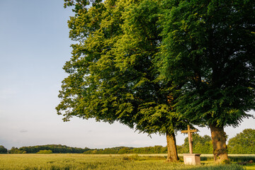 Sommerzeit im M&uuml;nsterland