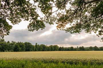Sommerzeit im M&uuml;nsterland