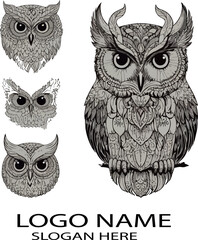 Owl bird logo icon vector .