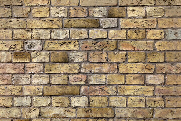 the yellow brick wall