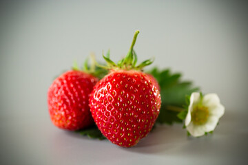 Juicy strawberries close-up on a gray background