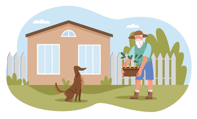 Old man working in house farm garden vector illustration. Cartoon elderly worker gardener character carrying box of growing organic vegetables, senior farmer gardening in backyard isolated on white