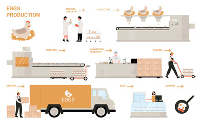 Egg process production in chicken poultry factory infographic vector illustration. Cartoon manufacture processing technology of making egg products, automated line of food industry isolated on white