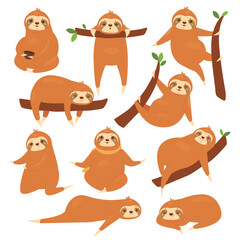 Sloths vector illustration set. Cartoon cute lazy various poses of sloths characters collection, funny brown animal sleeping on tropical tree branch in jungle, hanging and sleeping isolated on white © Flash Vector