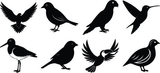 set of silhouettes of birds