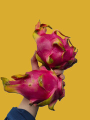 exotic dragon fruit, pitahaya, two pieces in hand, on a yellow background, no background, wallpaper
