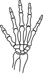 Skeleton Clip art vector collection white color background