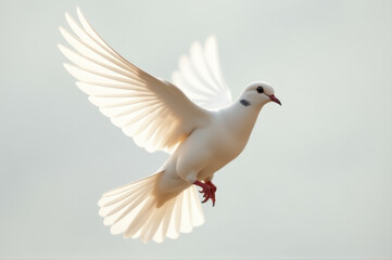 Obraz premium A white bird soaring through the air