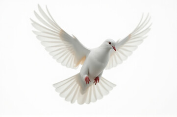 Obraz premium A peaceful scene of a white dove soaring in the sky with its wings outstretched, conveying hope and serenity