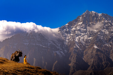 mountain landscape in the himalayas