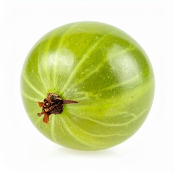 Mamoncillos on Isolated White Background &ndash; Small Green Berry-Like Fruit with Translucent Flesh and Organic Feel