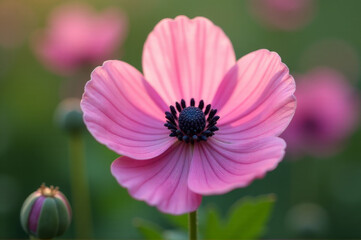 Fototapeta premium A close-up shot of a bright pink flower growing in a green field