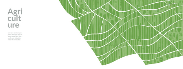 Background pattern with tea field in spring vector green landscape. Abstract wheat and rice farm design. Organic agro collage featuring paddy, corn, vineyard, nature drawing, earth art illustration