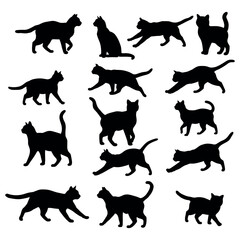 Cat silhouette collection. collection of black cat silhouette. Kitten silhouette set, Cat vector