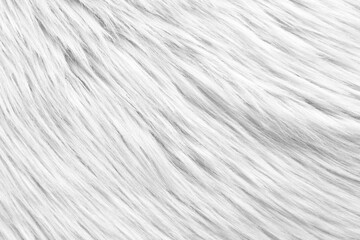 Texture of white furry fabric as background, closeup