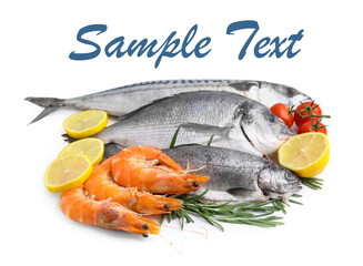 Fresh sea food and products on white background. Design with space for text