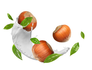Nut milk splash with hazelnuts and green leaves in air on white background