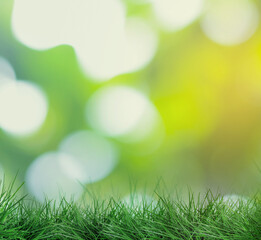 Obraz premium Lush green grass growing outdoors on sunny day. Bokeh effect