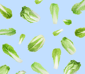 Fresh Chinese cabbages and leaves flying on light blue background