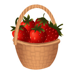 Large wicker basket full of ripe red strawberries. Vector illustration isolated on white background.
