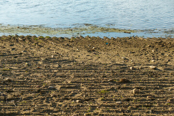 Draining the lake before cleaning. Environmental disaster, pollution of the reservoir and fresh water by waste products.