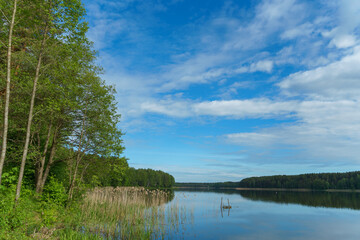 Sunny summer landscape on the lake. Reflection of the sky and clouds in the water. A valley of green trees on the shore of a lake. A concept for travel and camping.