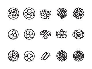 Caviar Minimalist 2D Line Art Icon
