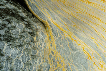 Dirty foam on the surface of the water. Pollution of water bodies by waste from the chemical industry. Environmental pollution, background.