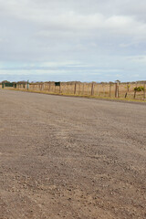 gravel road through dry fields in victorian winter