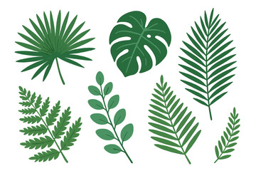 A collection of tropical leaves is presented, featuring isolated fern elements against a white backdrop, including jungle forest and domestic home leaves, exotic eucalyptus foliage, and real palm