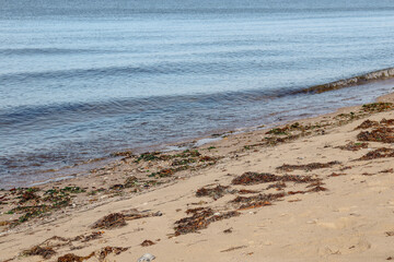 waves on the sand at point cook coastal park
