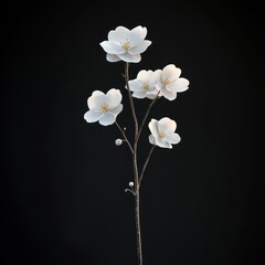 Obraz premium A delicate, stylized blossom branch against a dark backdrop. Soft white petals and a few buds adorn thin brown stems