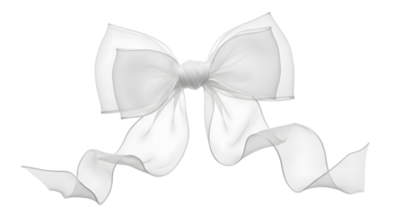 Elegant White Bow Ribbon on White Background