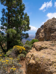 Pico de las Nieves, Gran Canaria