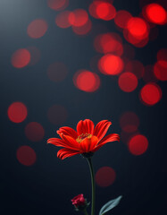 Obraz premium Vibrant red flower stands out against dark background