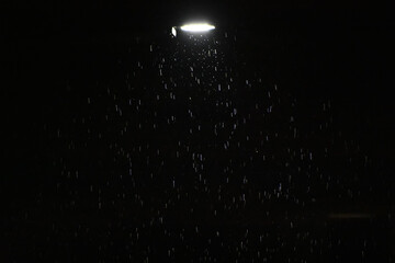 Fototapeta premium A street light illuminates falling rain or snow against a dark night sky.