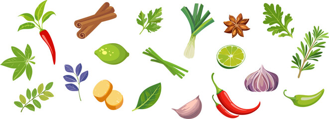 A colorful assortment of fresh herbs and spices artfully arranged