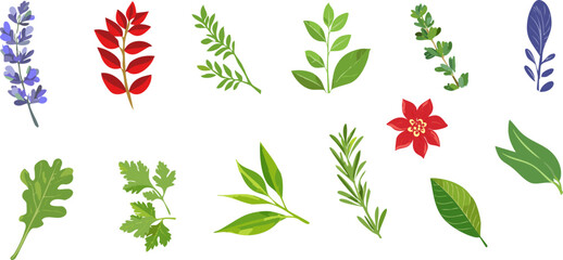 An assortment of vibrant plants, herbs and flower on display. A collection of fresh, colorful botanicals for use in design projects.