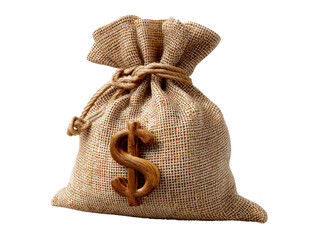 bag with money isolated