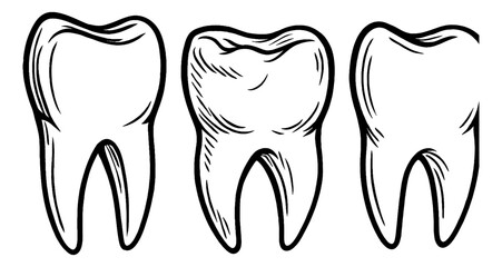 Three Teeth Outline Illustration in Black and White Detailed Line Art Drawing
