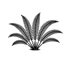 Isolated Fern Plant in Black and White Line Art Style, Bushy Fern with Dense Fronds