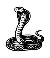 Illustration of a Cobra Snake with Hood in Black and White, vector illustration, wildlife animal