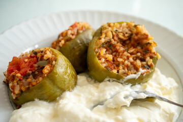Close-up of local Turkish dish minced meat stuffed dolma
