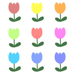 튤립의 다양한 벡터